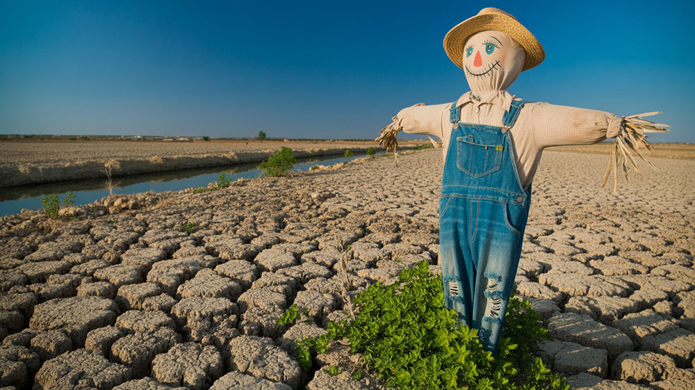 كيف تدعم مضخات المياه المشاريع الزراعية واسعة النطاق في المناطق القاحلة