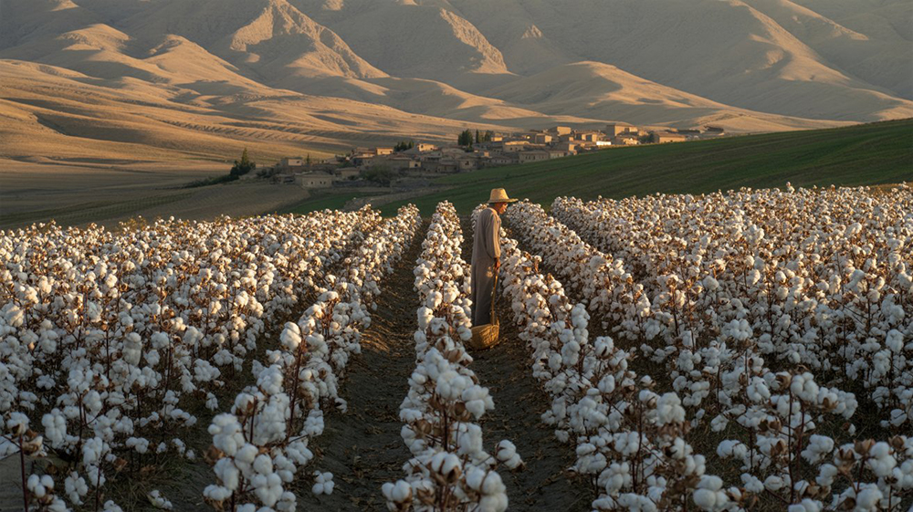 فهم الري الزراعي في أذربيجان: التحديات والمناطق وحلول المضخات